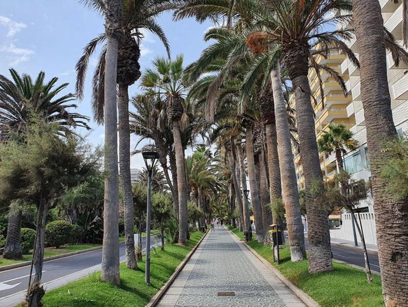 Apartamento Renovado, Frente A La Playa, Con Garaje Apartment Puerto de la Cruz  Exterior photo
